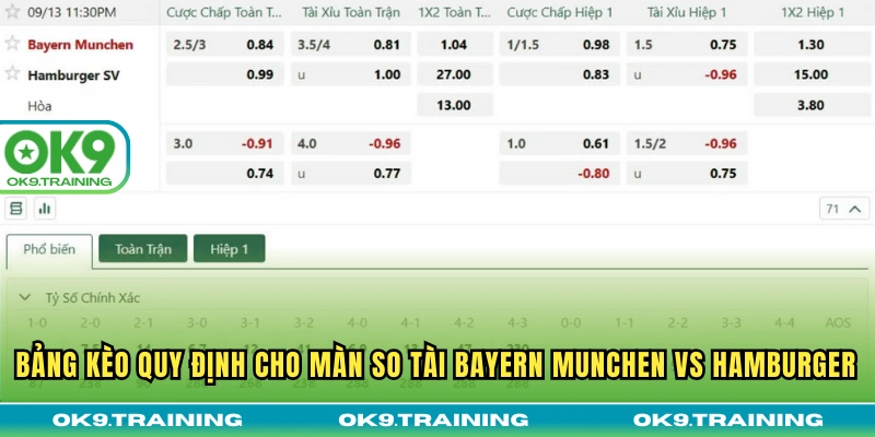 Bảng kèo quy định cho màn so tài Bayern Munchen vs Hamburger